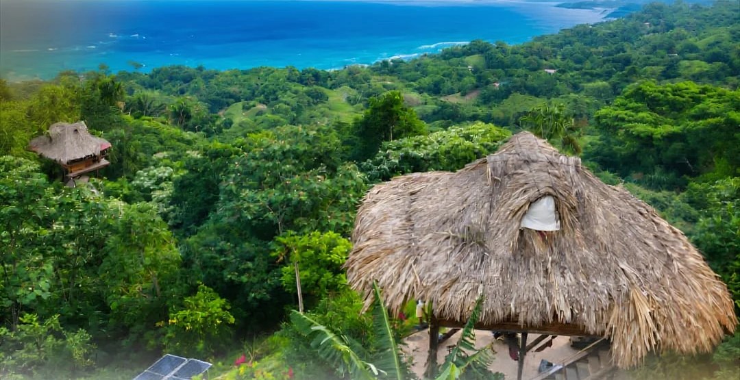View of the Caribbean Sea and thatched cabins among the forest